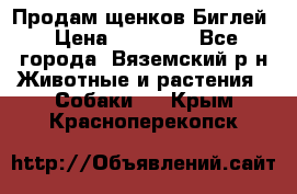 Продам щенков Биглей › Цена ­ 15 000 - Все города, Вяземский р-н Животные и растения » Собаки   . Крым,Красноперекопск